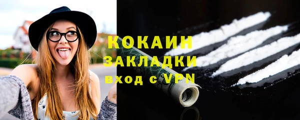 индика Волосово