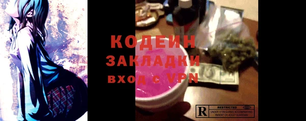 индика Волосово