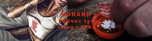 индика Волосово