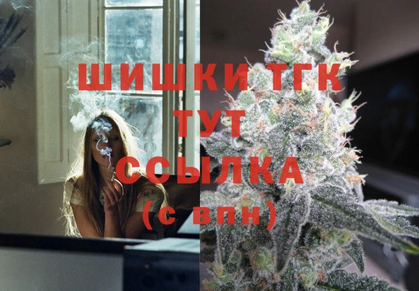 индика Волосово