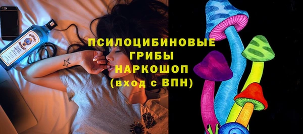 индика Волосово