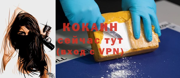 индика Волосово