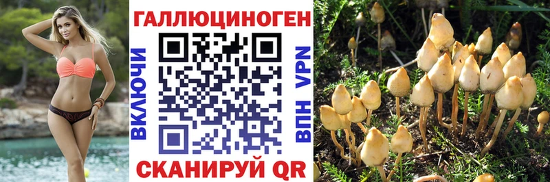 мега сайт  закладки  Калачинск  Псилоцибиновые грибы ЛСД 